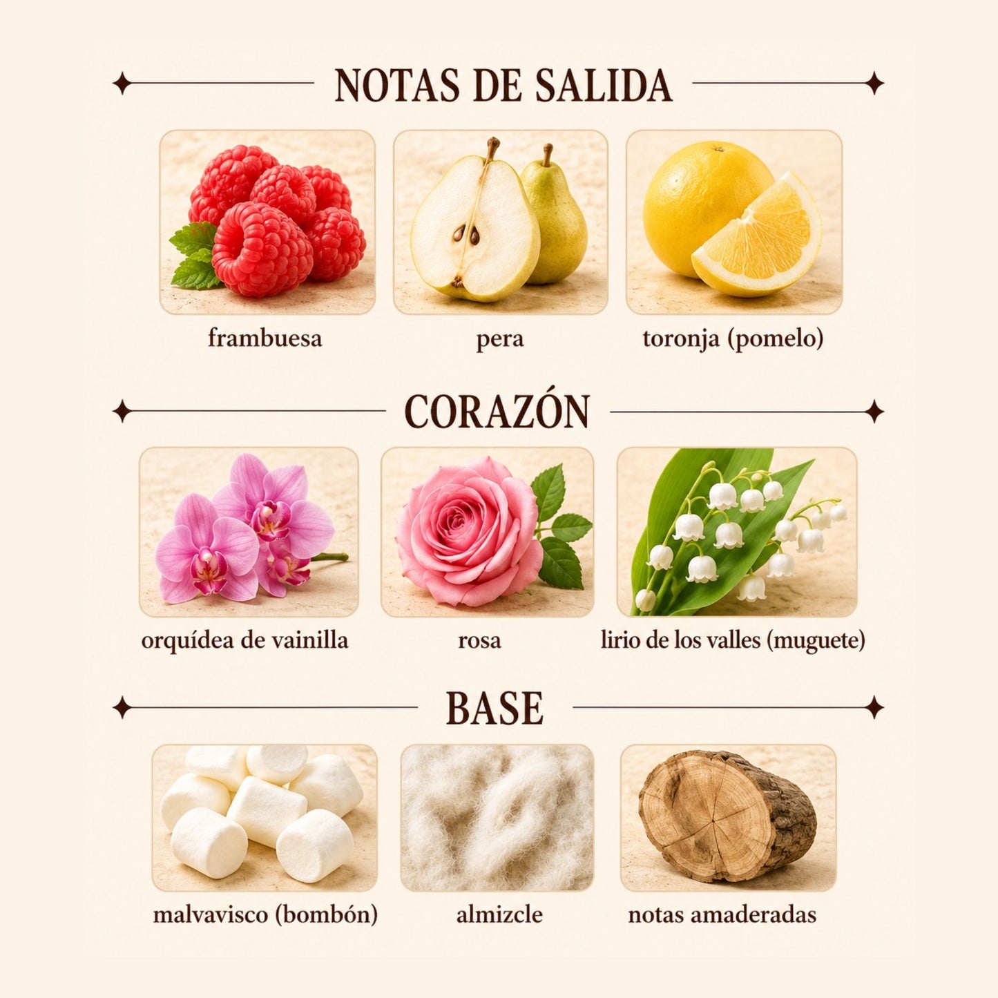 Ari Ariana Grande