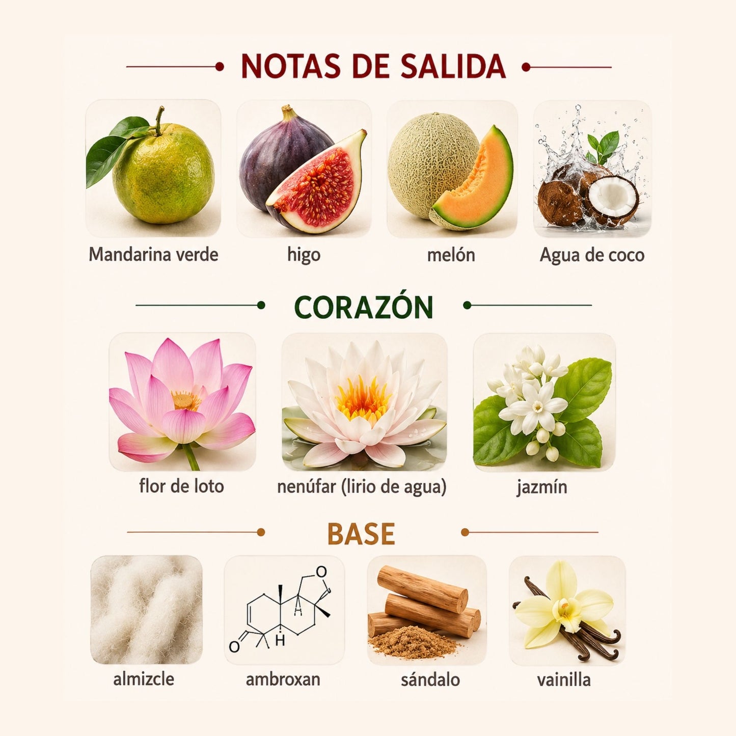 Mayar Natural Intense