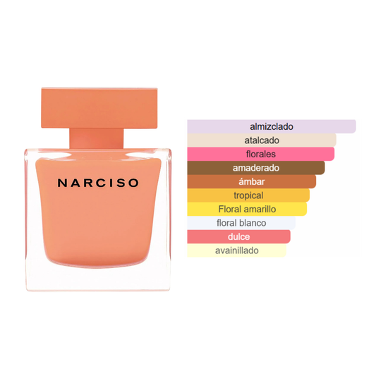 Narciso Rodriguez Ambrée EDP