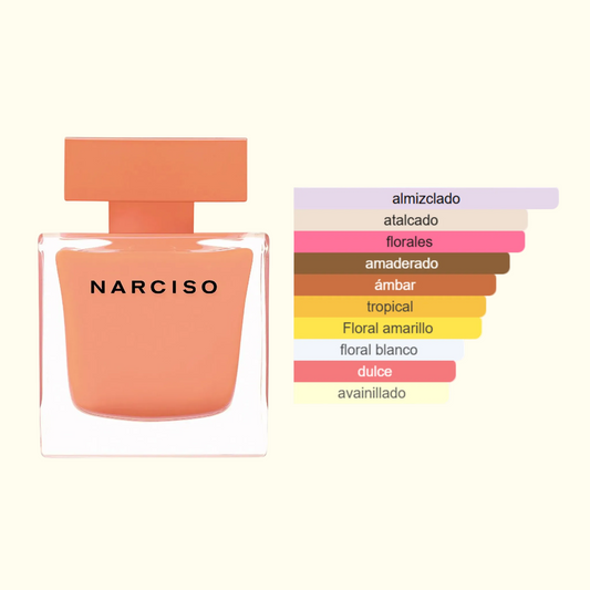 Narciso Rodriguez Ambrée EDP