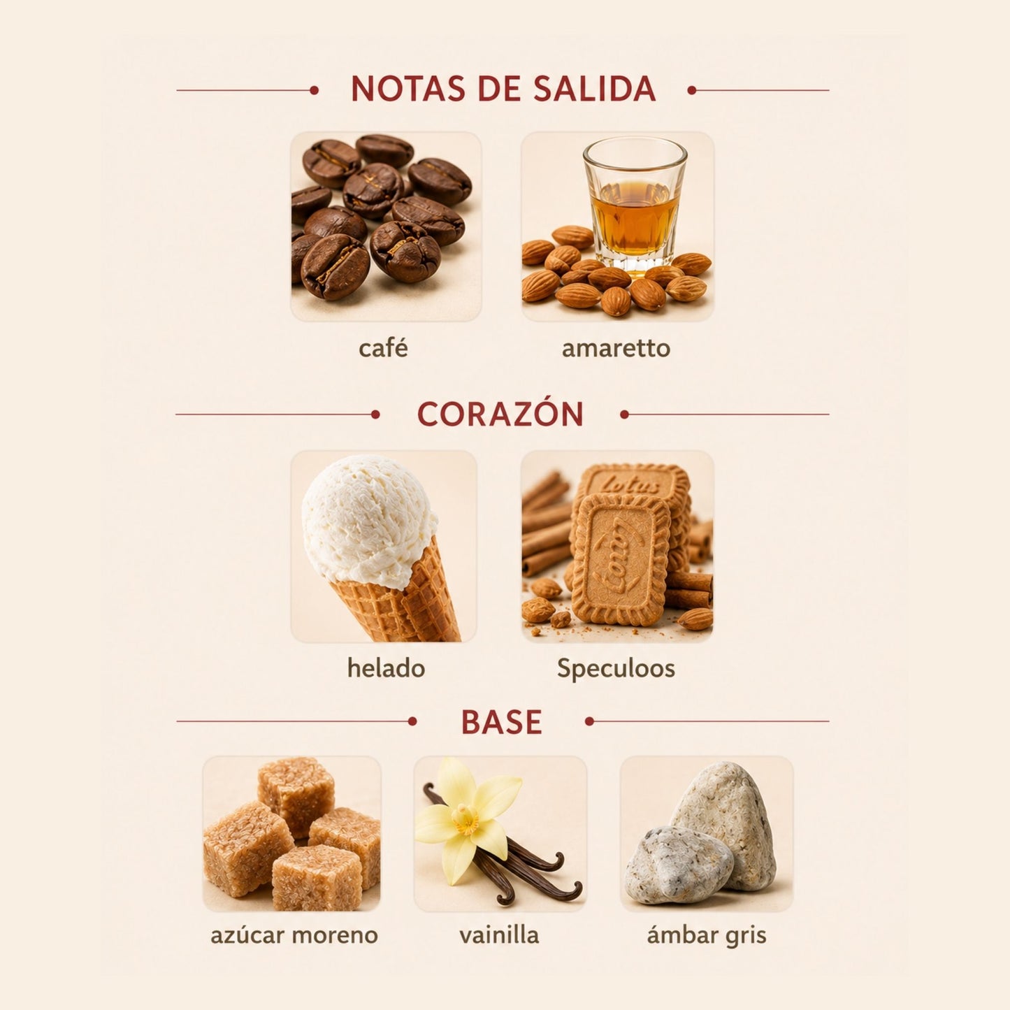 Amore Caffé Mancera