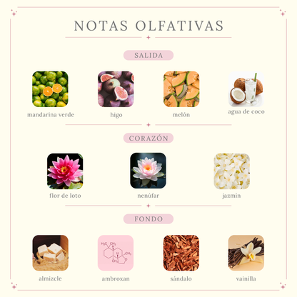 Mayar Natural Intense