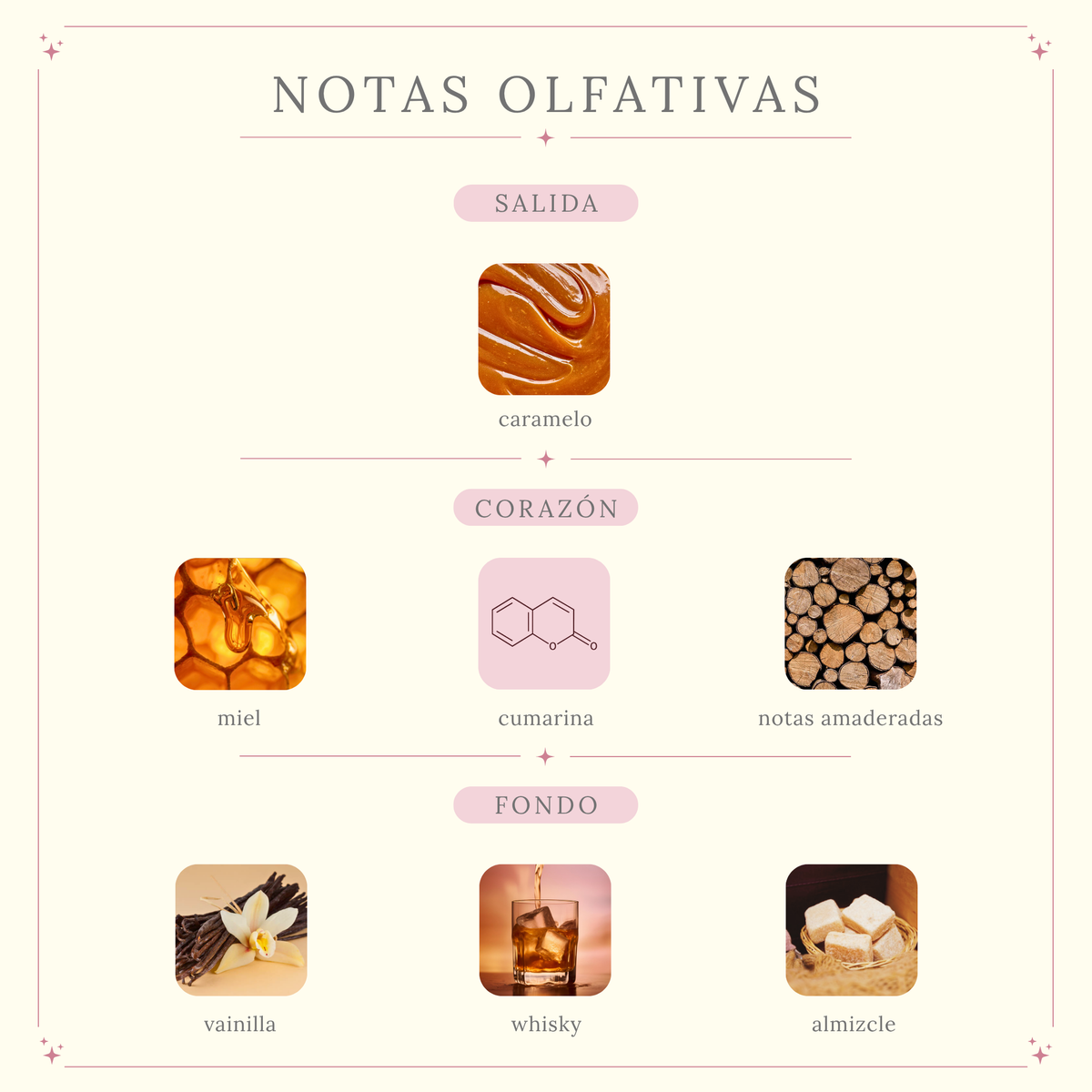 Tiramisú Caramel - Zimaya