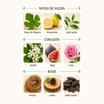 Aqua Allegoria Forte Nerolia Vetiver - Guerlain