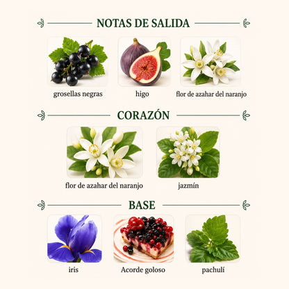La Vie Est Belle Iris Absolu